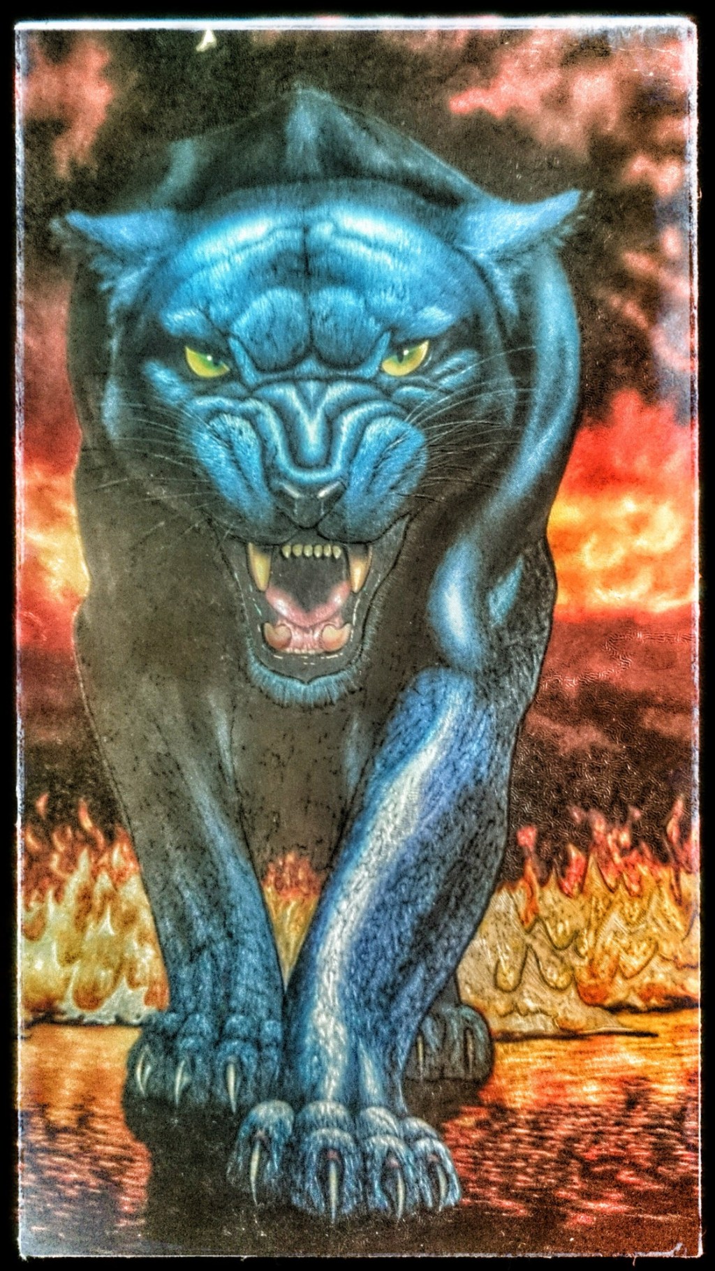 A scanned in postcard depicting a black panther.